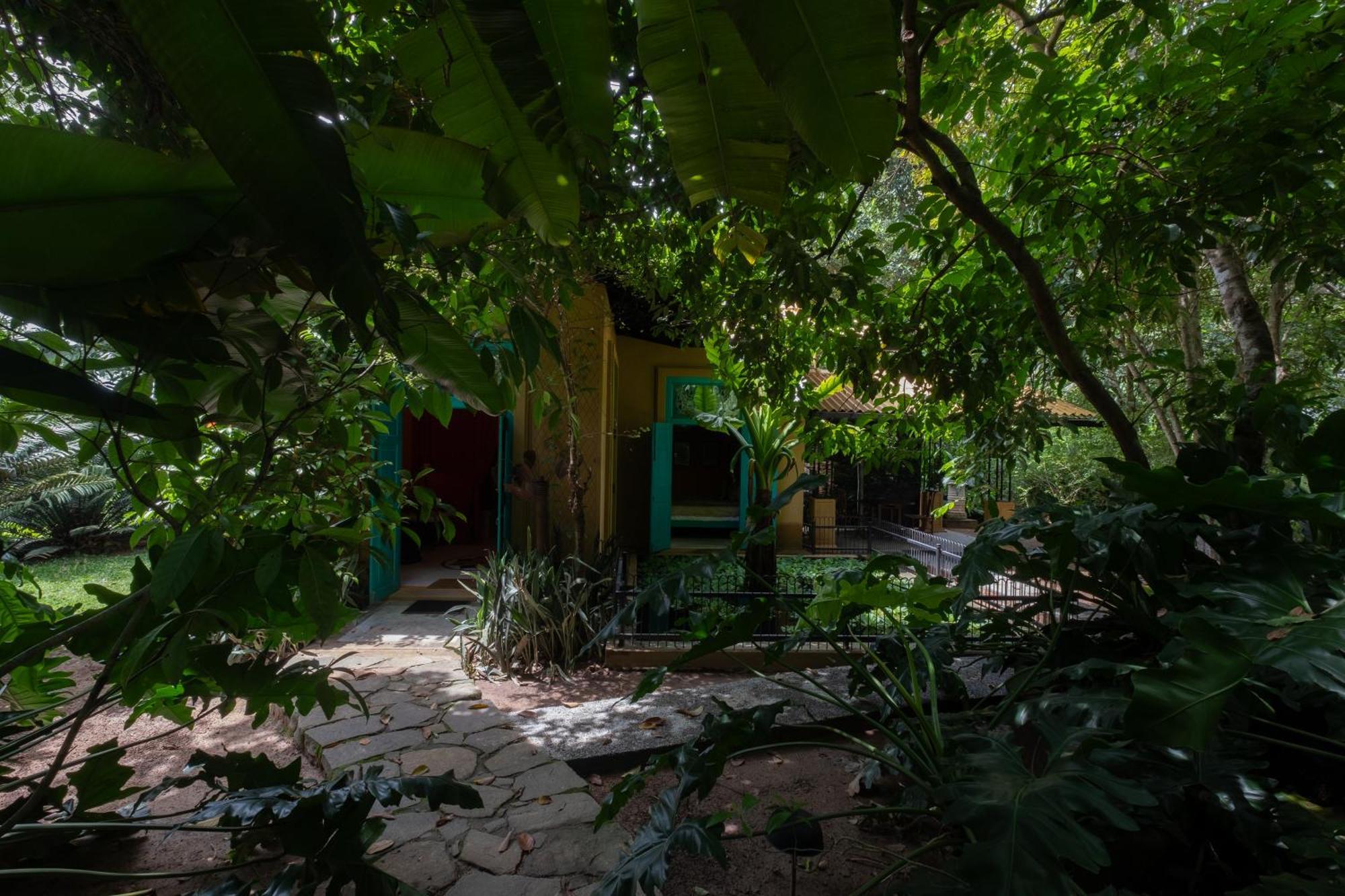 מלון גמפהה Casa Heliconia מראה חיצוני תמונה